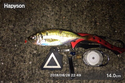 豆渋～基本のボトム