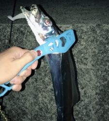 タチウオ釣り