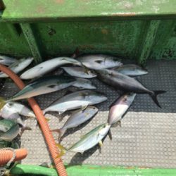 孝洋丸で落とし込み