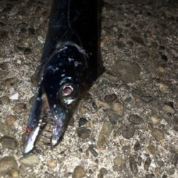 下手な太刀狩り