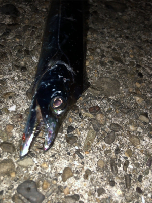 下手な太刀狩り