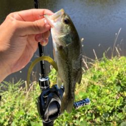 淡路島でバス釣り！！