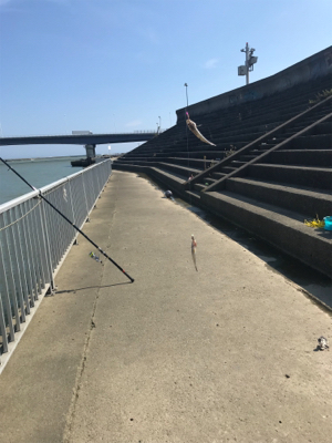 須賀港でハゼ釣り