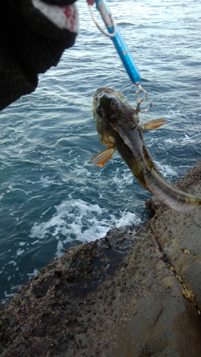 ライトショアジギング