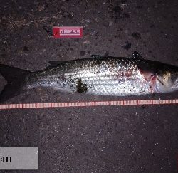 久し振りの尼崎閘門前