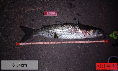 久し振りの尼崎閘門前