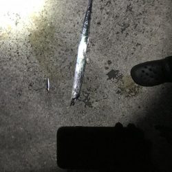 デカサバ求めて