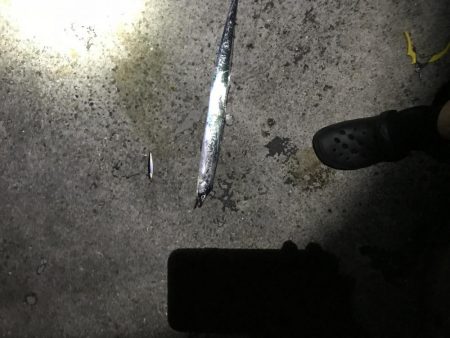 デカサバ求めて