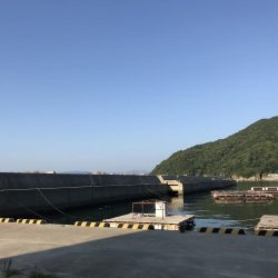 ショアジギング