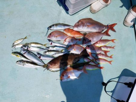 灼熱の県南タイラバ&ライトジギング