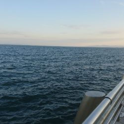 太刀魚 サゴシ サバ