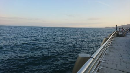 太刀魚 サゴシ サバ