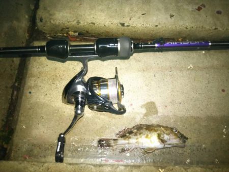 まだまだメバリング♪in爆風