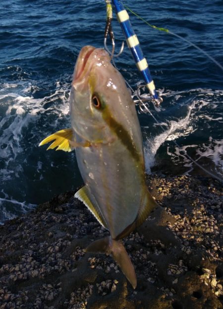 ロックショア！シオ乱舞！IN周参見