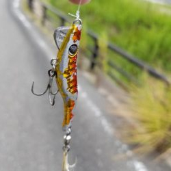 ライトショアジギング(芳養漁港周辺への釣行)