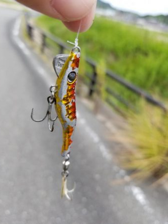 ライトショアジギング(芳養漁港周辺への釣行)