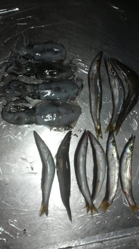 たくさん食べて 大きくな~れ!