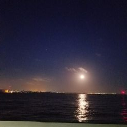 タチウオ細い‼