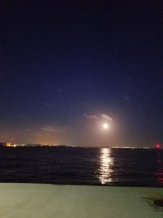 タチウオ細い‼