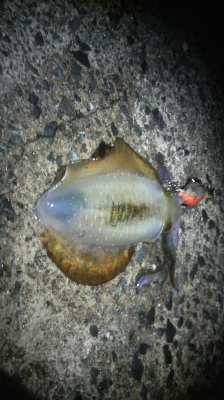 場所か腕か・・・