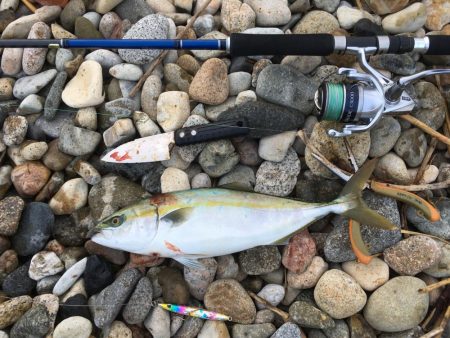 久しぶりのショアジギ