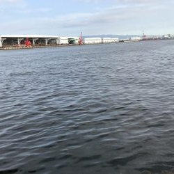 エギとタコジク合体してみた