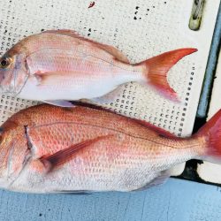 牟岐沖タイラバ海漁丸