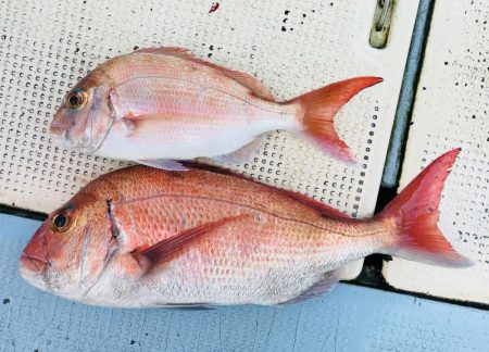 牟岐沖タイラバ海漁丸