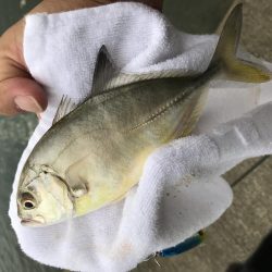 ランガンポッパー2nd