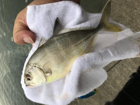 ランガンポッパー2nd