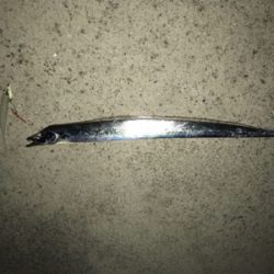 やっと刀狩りが開幕しましたね