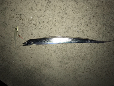 やっと刀狩りが開幕しましたね