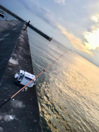 まだまだイケる＾＾v