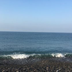 暑い中頑張ったっすよ？