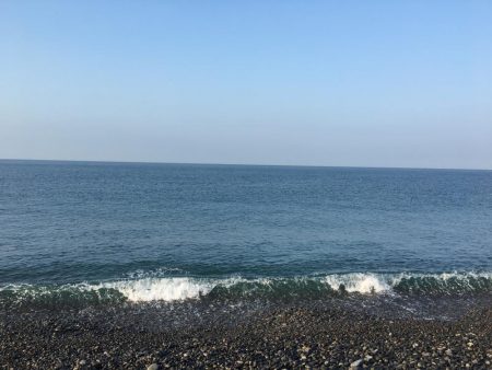 暑い中頑張ったっすよ？