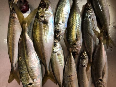 1時間30分のナイトアジング