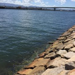 やっとグレの顔見れた