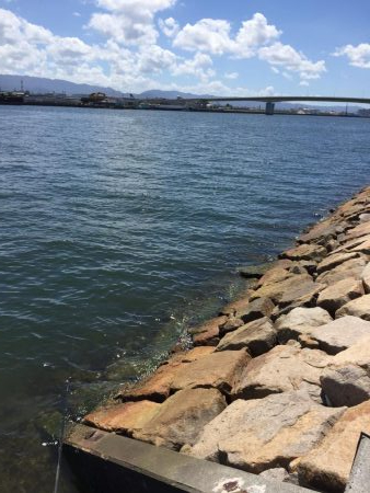 やっとグレの顔見れた