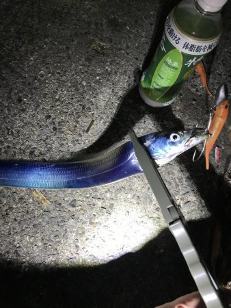 ケンサキはどこ？