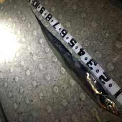 ワインドでドラゴン