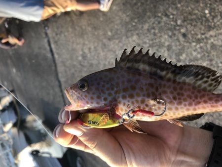 夕方から夕方までの耐久フィッシング