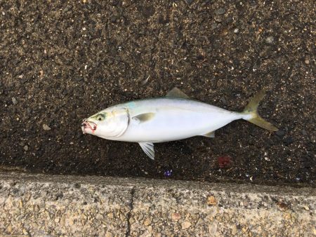 時合は一瞬でした