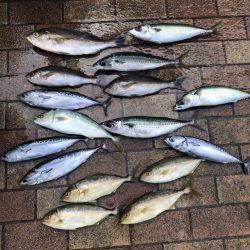 海漁丸〜牟岐大島周辺〜