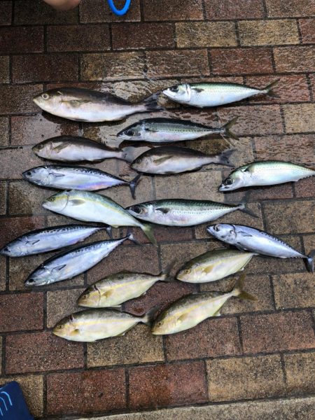 海漁丸〜牟岐大島周辺〜