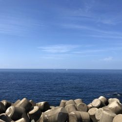 カサゴデイ！アオリはまだ小さい。