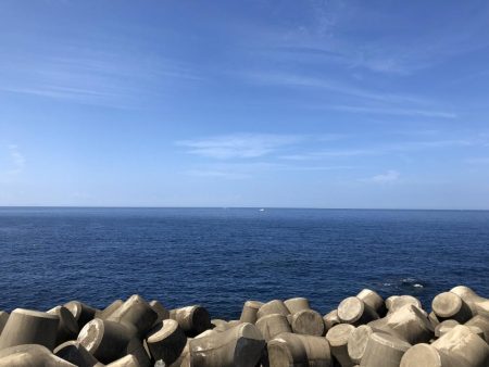 カサゴデイ！アオリはまだ小さい。