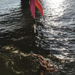 今日はまあまあ釣れた