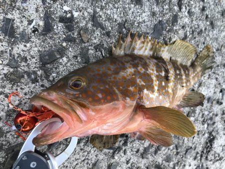 家族旅行の合間に
