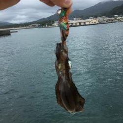 やっぱり小さい