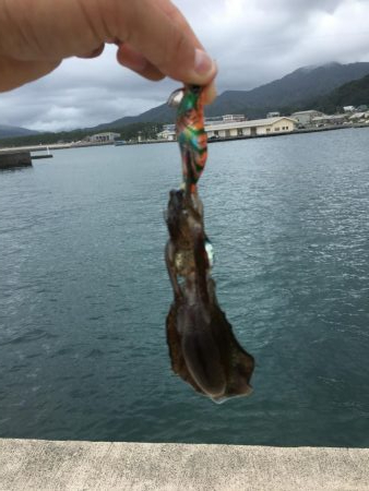 やっぱり小さい